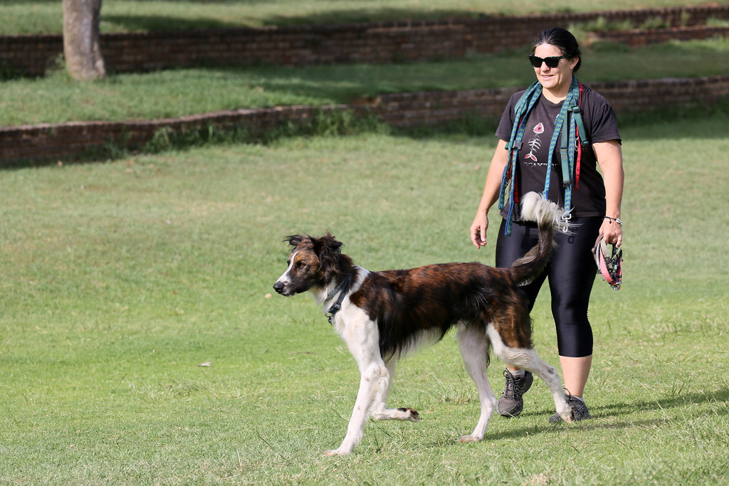 Sagittarius: Finding Home Within Yourself (Image Credits: Flickr)