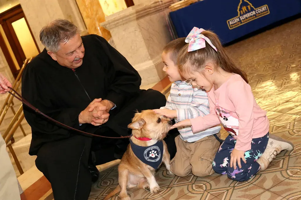 10. Celebrate Their "Gotcha Day" If You Don't Know Their Birthday (Image Credits: Flickr)