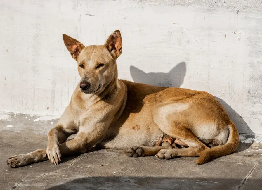 #1. Their Body Language Is Loose and Relaxed (Image Credits: Pexels)