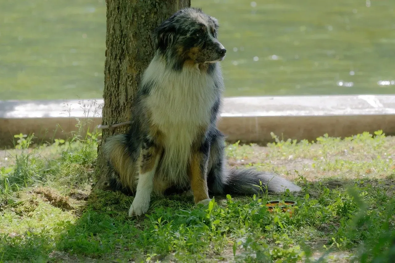 Conclusion: That Lean Is a Compliment Worth Understanding (Image Credits: Pixabay)