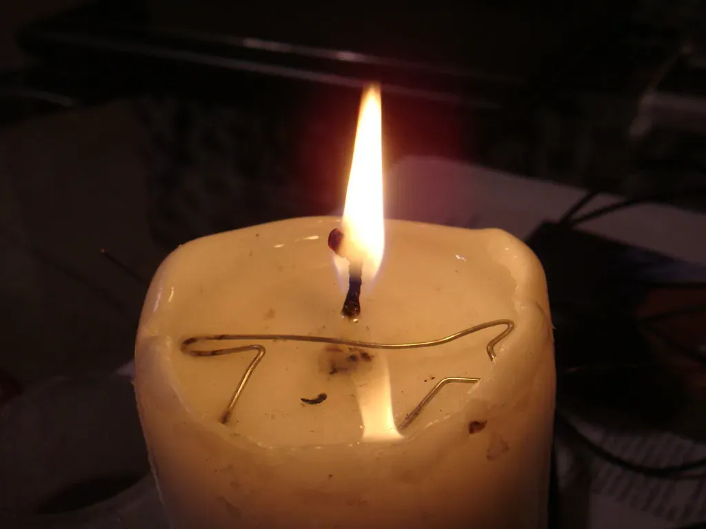 Scented Candles and Air Fresheners (Image Credits: Flickr)