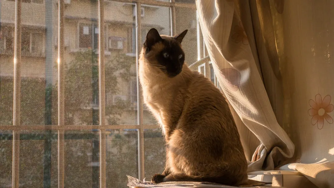 The Bedtime Routine That Whispers "You're Safe" (Image Credits: Unsplash)