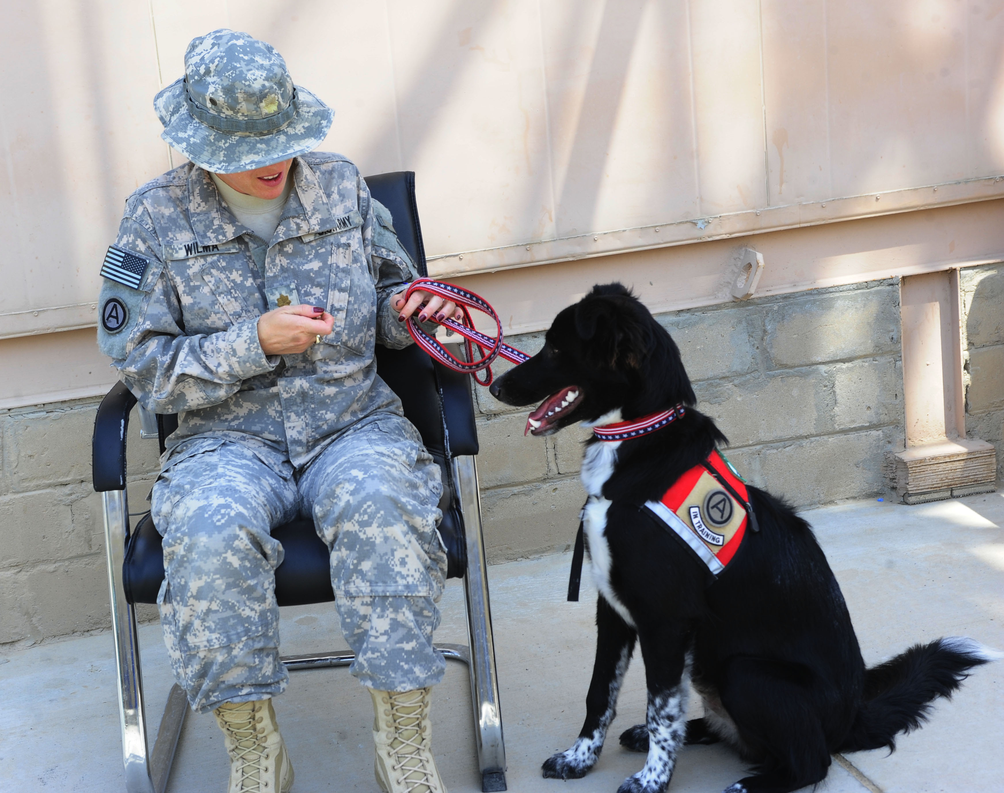 They Provide Unconditional Emotional Support (Image Credits: Wikimedia)