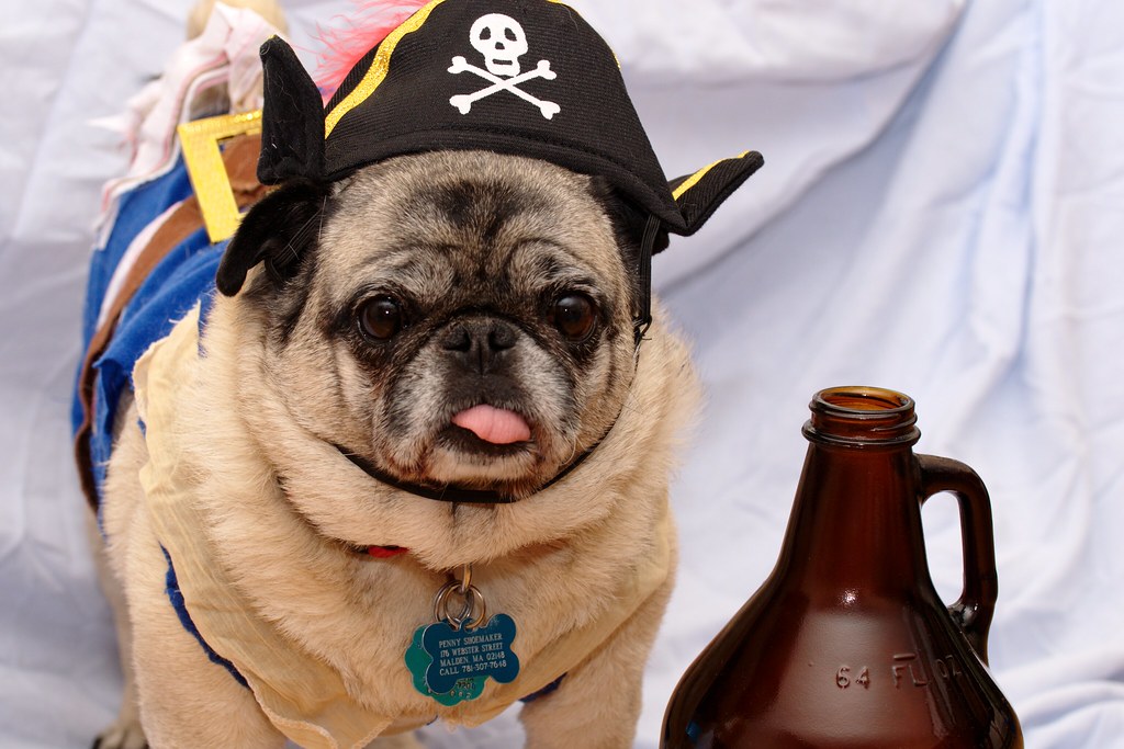 Breathing Sounds Like a Medical Emergency (But It's Tuesday) (Image Credits: Flickr)