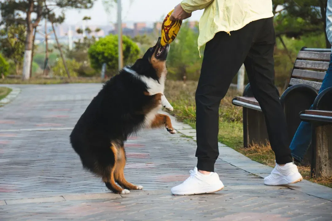 #7 - Bite Risk Hiding Inside "Friendly" Behavior (Image Credits: Unsplash)