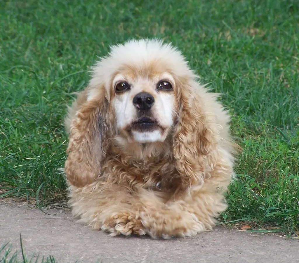 The Earth Sign Temperament: Why Stability Matters (Image Credits: Flickr)