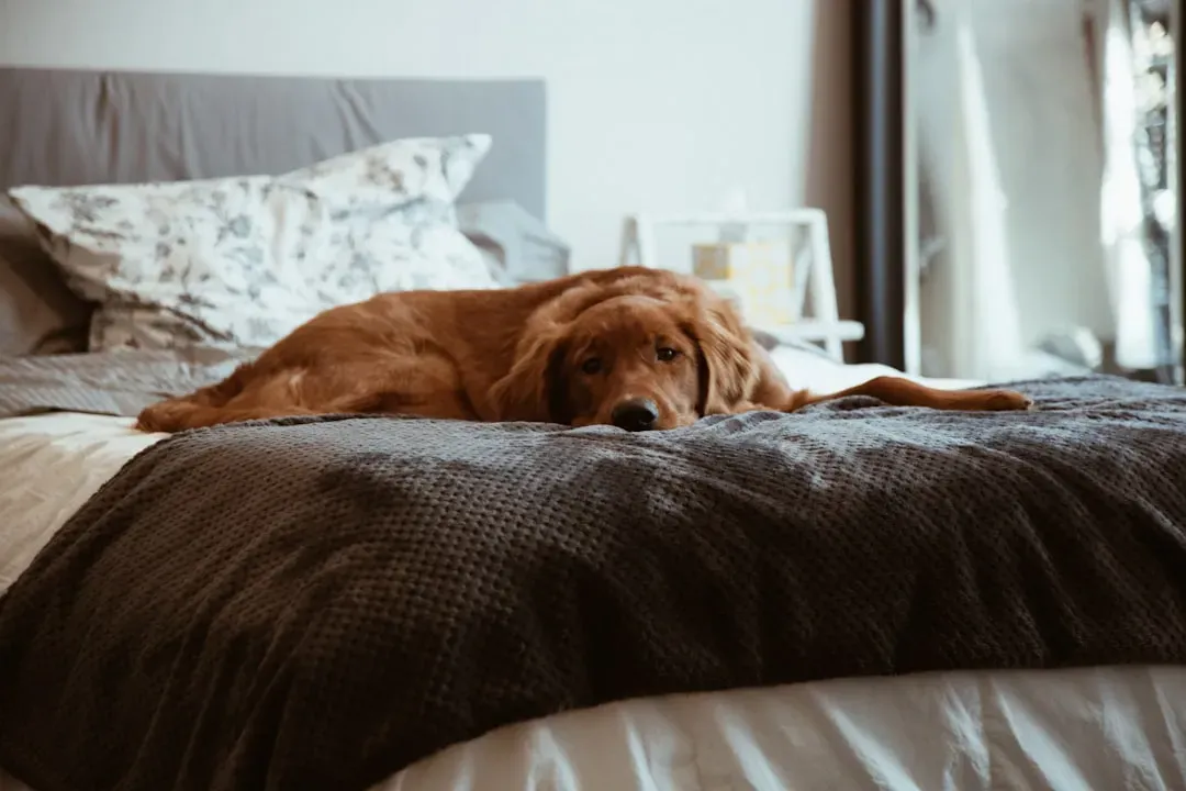 #1 - The Sudden End of Peace and Quiet (Image Credits: Unsplash)