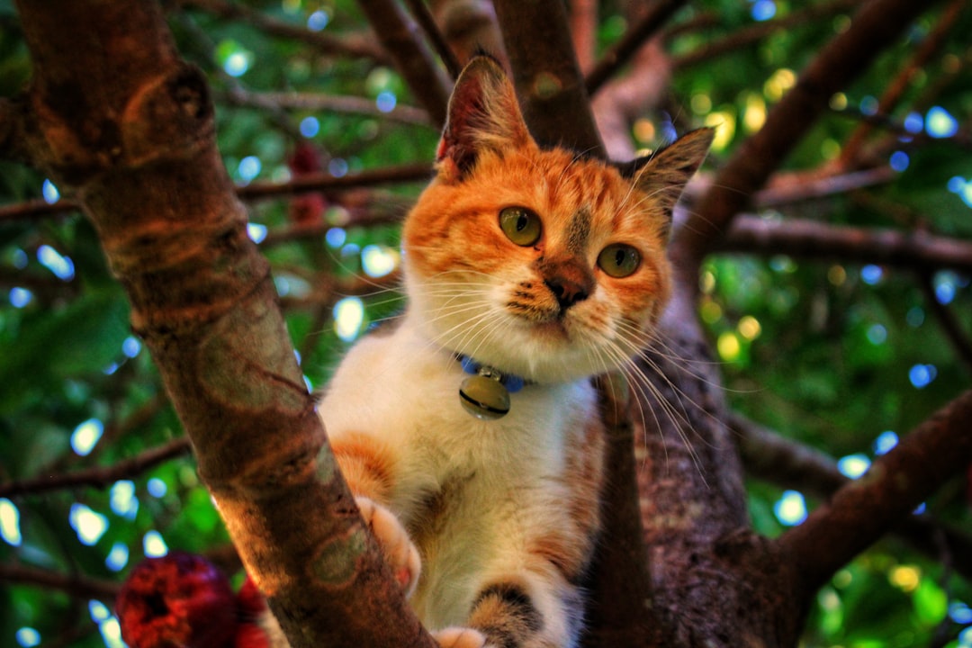 Your Adventure Awaits (Image Credits: Unsplash)