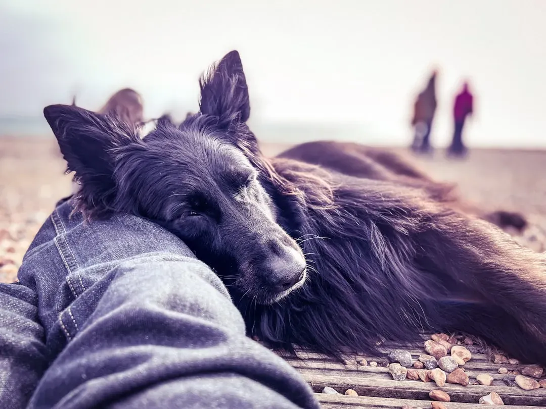 #1: They Lean Into You Without Warning (Image Credits: Unsplash)