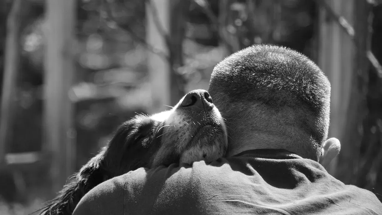 Responding to Shifts in Your Mood (Image Credits: Pixabay)