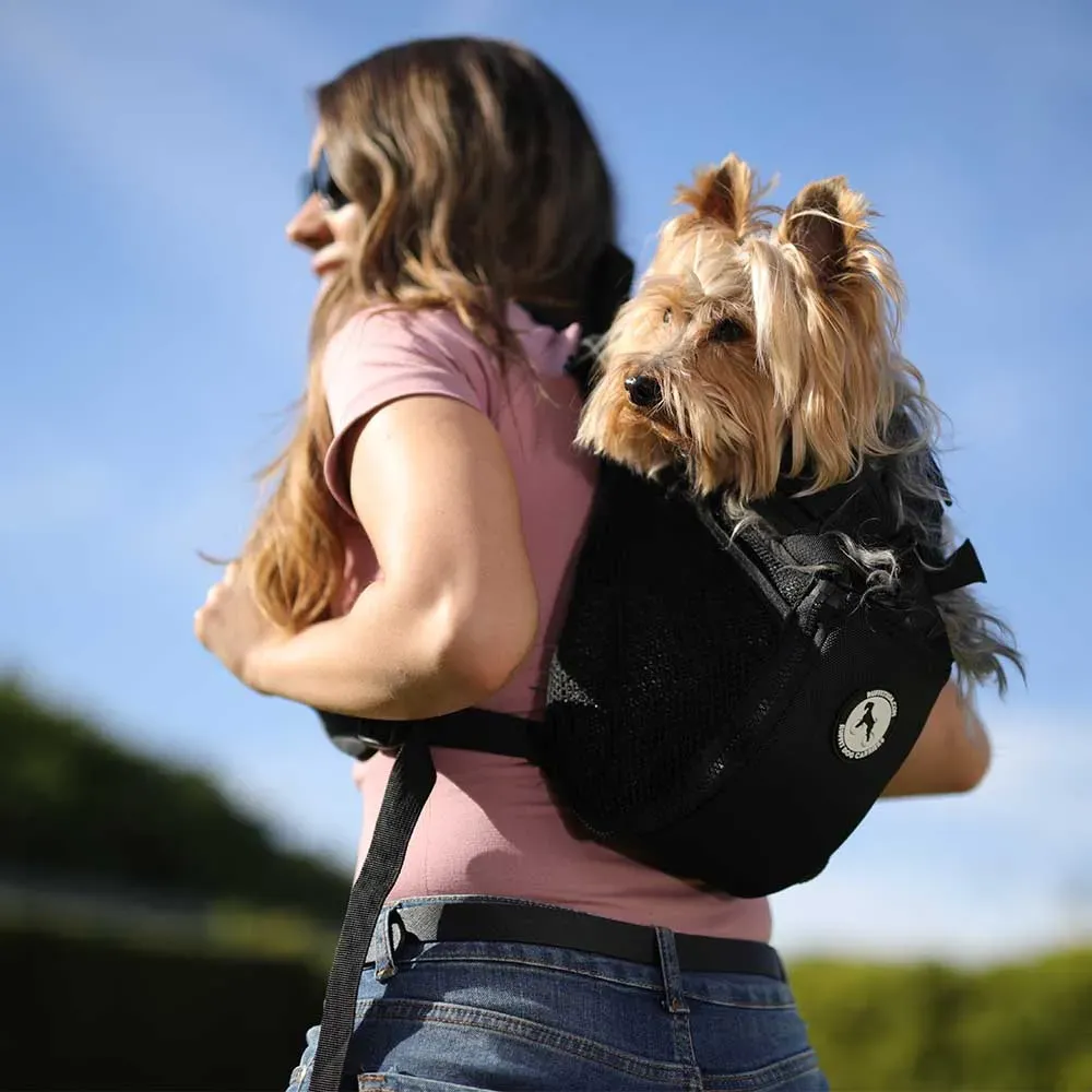 10. Know What to Expect When Flying With Your Dog (By Edgar González, CC BY-SA 4.0)
