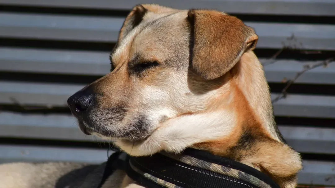 How to Respond in a Way That Strengthens Your Bond (Image Credits: Unsplash)