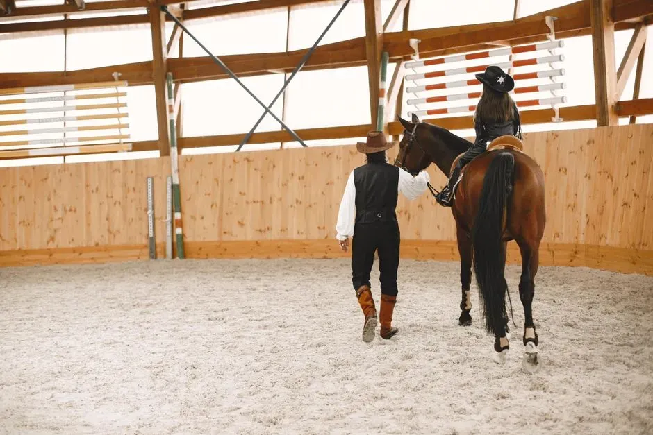 9. Training, Lessons, And Professional Help (Image Credits: Pexels)