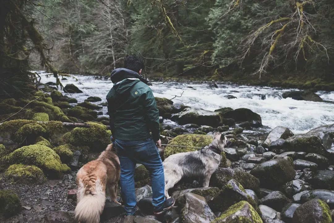 Conclusion - Finding Your Perfect Pacific Northwest Match (Image Credits: Unsplash)