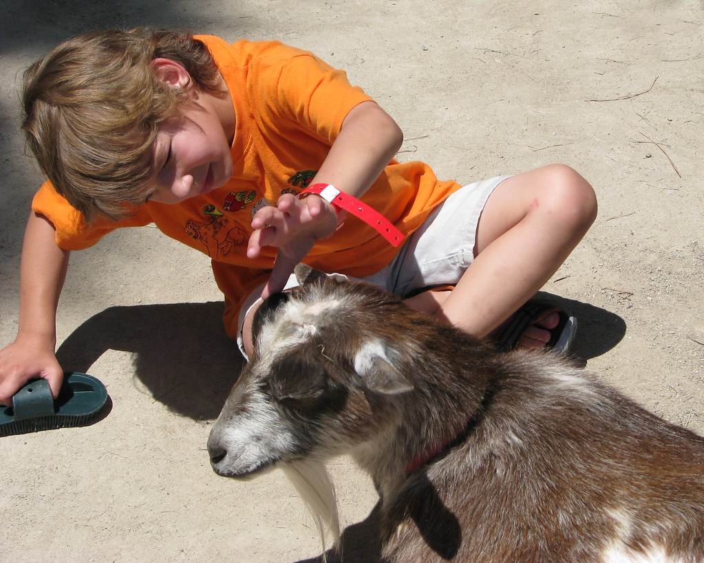 Handling Physical Contact and Touch Preparation (Image Credits: Flickr)