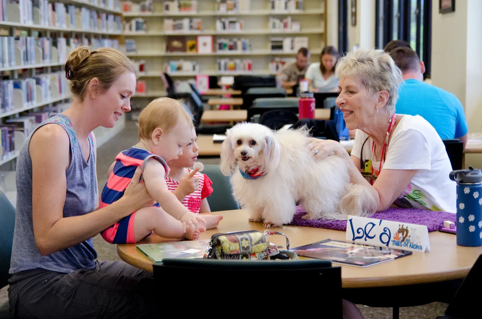 6. Poodle: The Elegant Emotion Reader (Image Credits: Wikimedia)