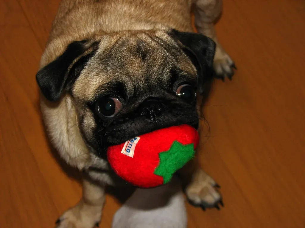 Strawberries: Vitamin C Boost (Image Credits: Flickr)