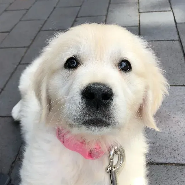 Why Your Gear Choice Matters More Than You Realize (Alex Beattie, Flickr, CC BY 2.0)