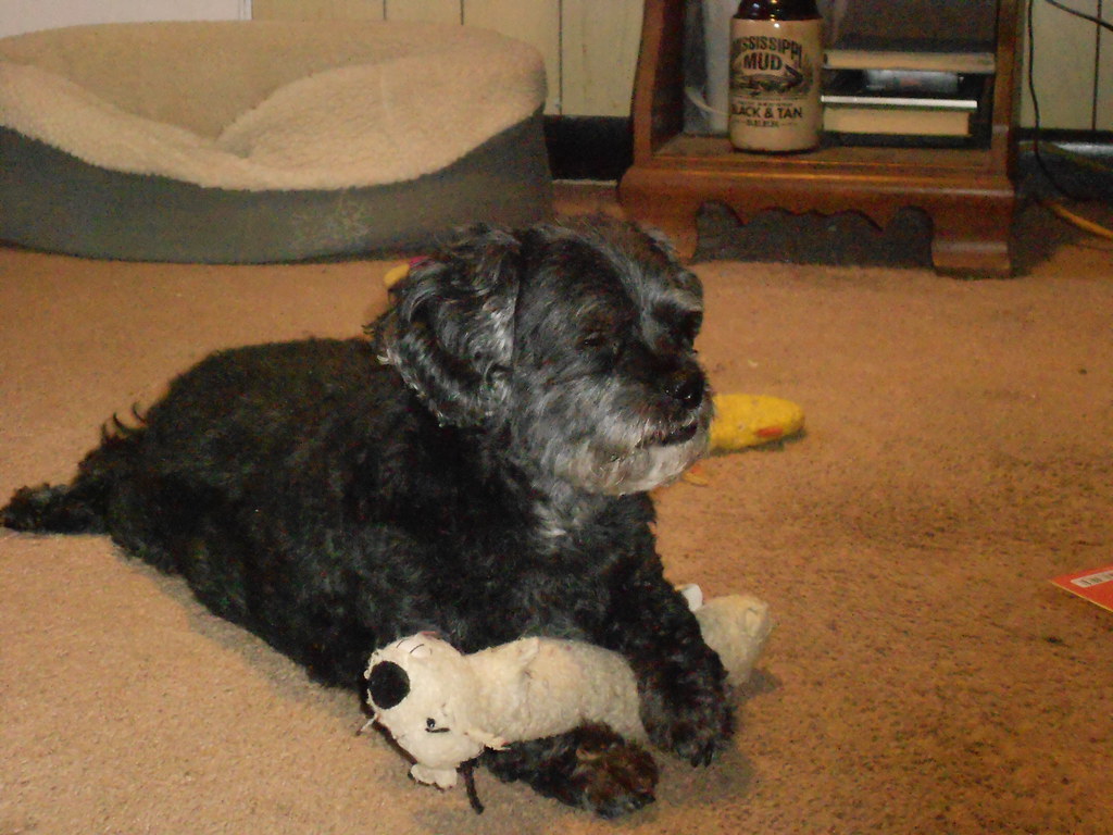 Resource Guarding Their Precious Items (Image Credits: Flickr)