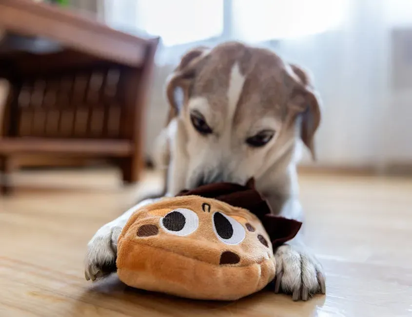 The Squeaky Toy Obsessive: Meet Your Little Hunter (Image Credits: Pexels)