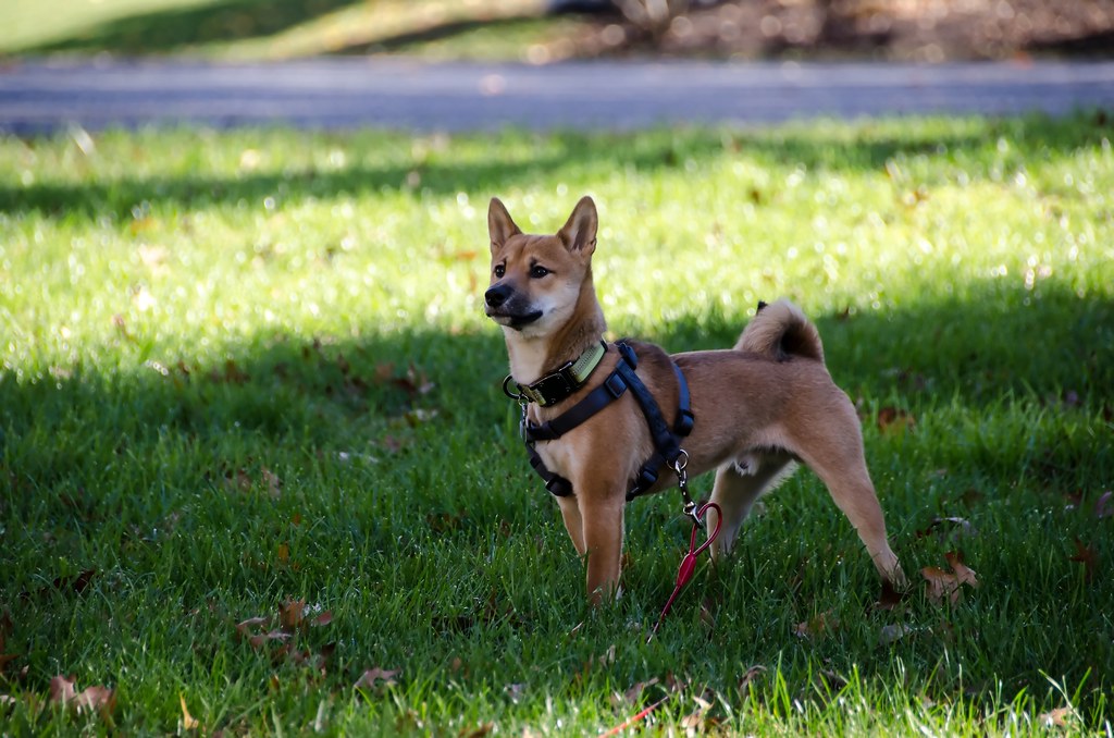 Conclusion (Image Credits: Flickr)