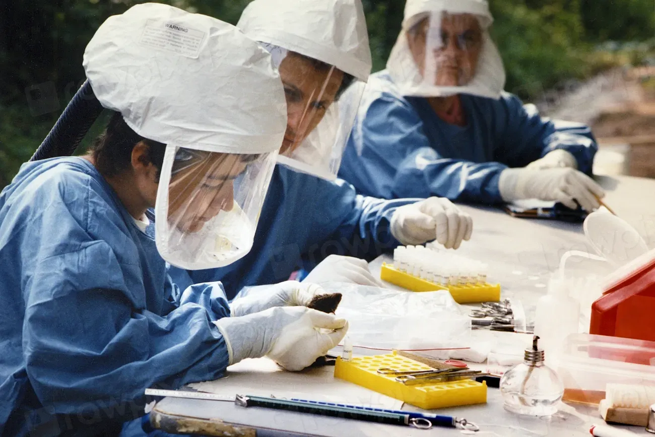 #4: How Serious Is Hantavirus for Humans? (Image Credits: Rawpixel)