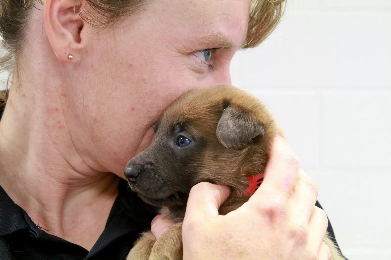 Conclusion (Image Credits: Wikimedia)