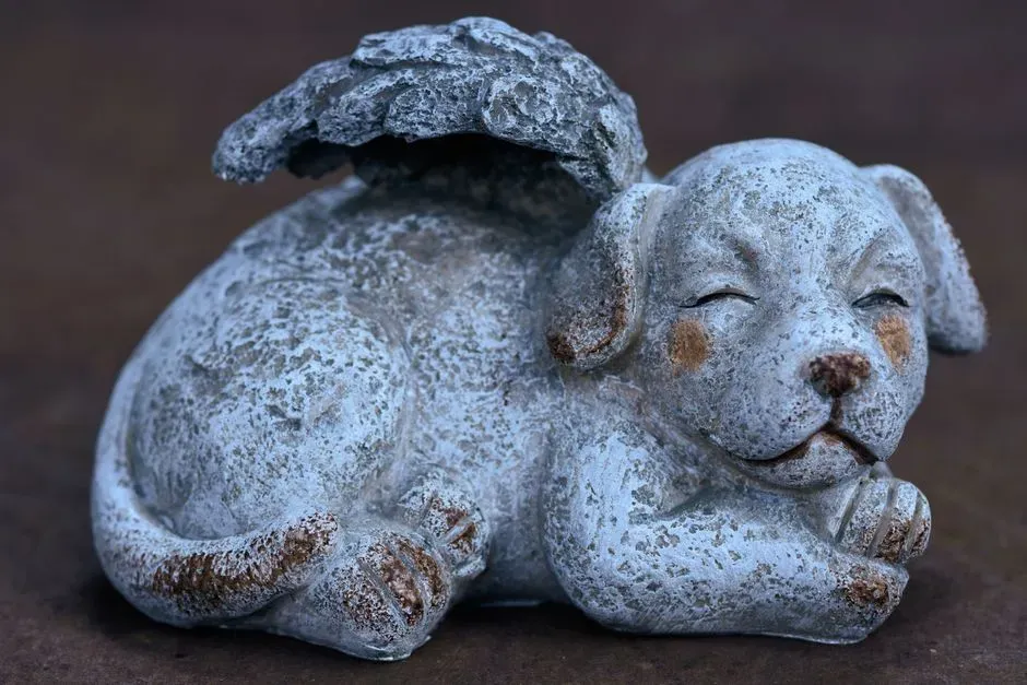 Taurus: The Steadfast Companion (Image Credits: Pexels)
