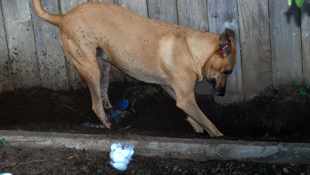 Conclusion (Image Credits: Flickr)