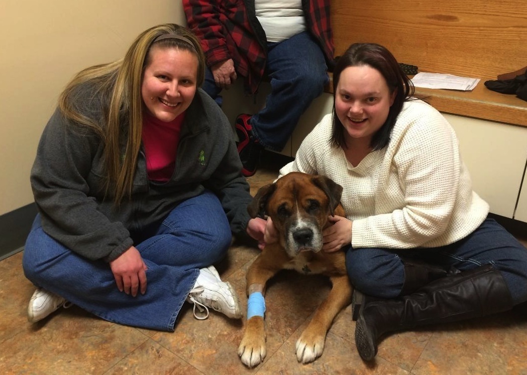 Finding Your Perfect Match (Image Credits: Wikimedia)