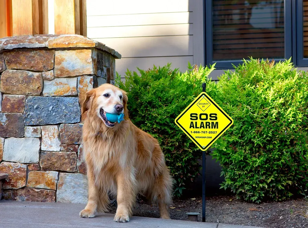 Providing a Sense of Security (EquipoMedia, Flickr, CC BY 2.0)