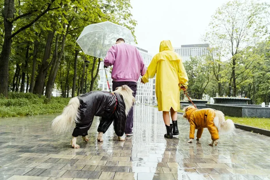 Umbrellas: The Sudden Expansion (Image Credits: Pexels)