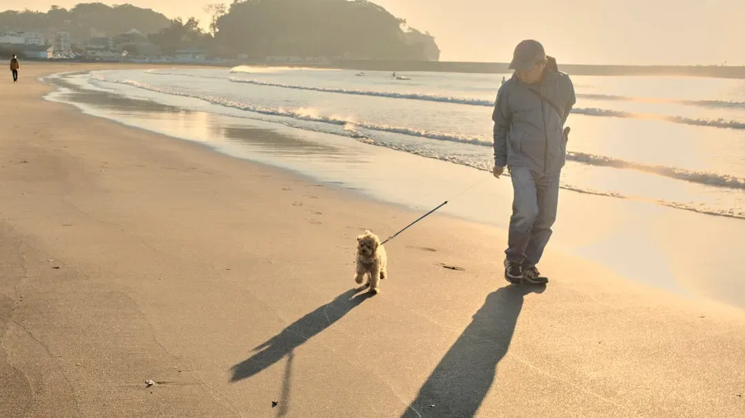 The Morning Ritual: More Than Just a Wake-Up Call (Image Credits: Unsplash)