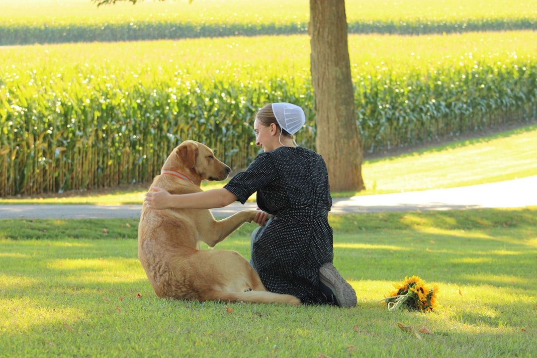Social Connections Beyond the Dog Park (Image Credits: Unsplash)