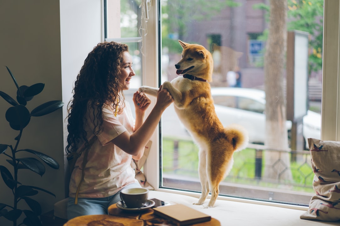 Reading Your Dog's Trust Signals (Image Credits: Unsplash)