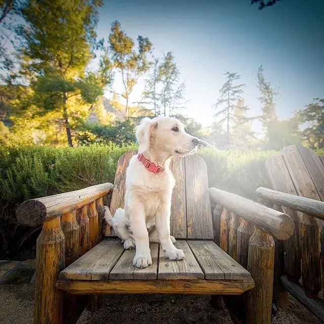 6. The Slow, Lingering Gaze (a.k.a. the Stare of Love) (Alex Beattie, Flickr, CC BY 2.0)