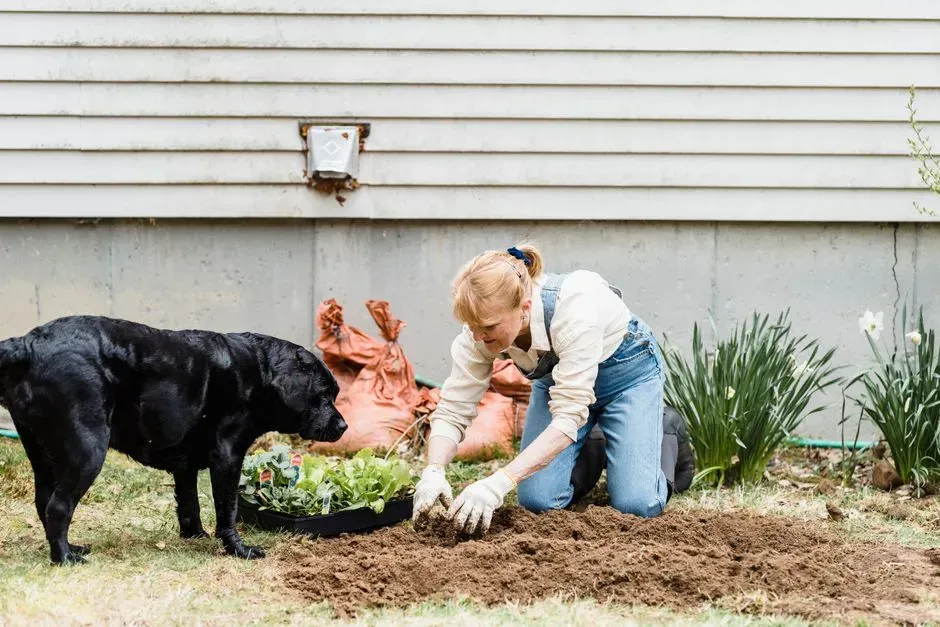 #8 - Your Yard Is a Labrador Amusement Park First, Garden Second (Image Credits: Pexels)