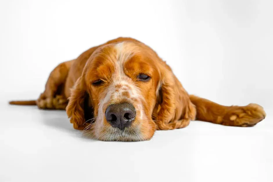 #3. They Seek Out Unusual or Isolated Spots to Rest (Image Credits: Pexels)