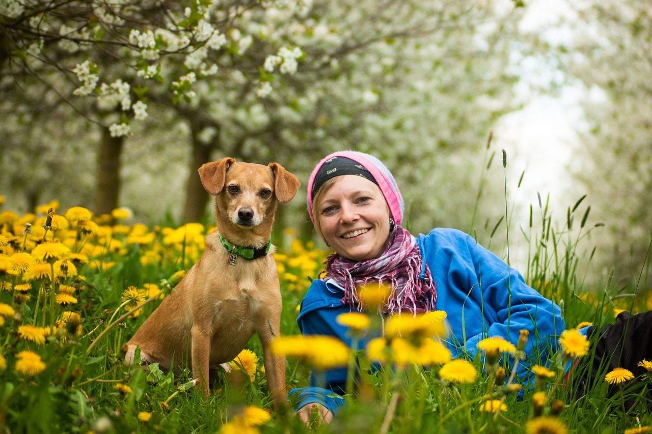 How Dogs Distinguish Between Genuine and Fake Kindness (Image Credits: Pixabay)