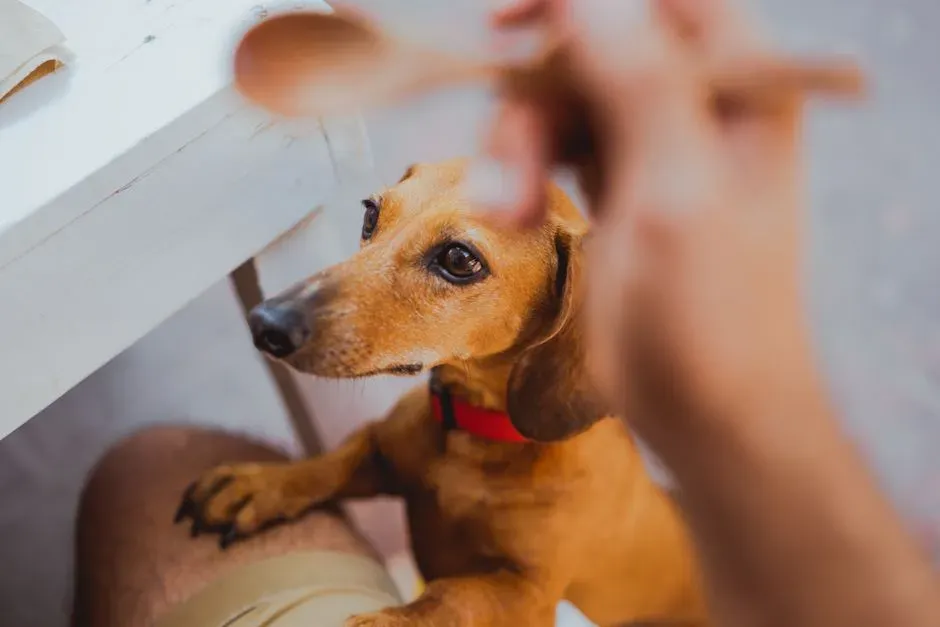 Appreciating the Quiet Intelligence in Everyday Bonds (Image Credits: Pexels)