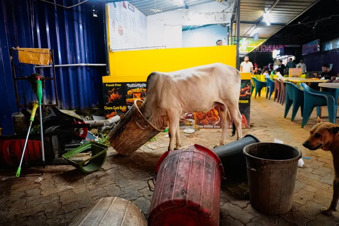 Secure Those Tempting Trash Cans (Image Credits: Unsplash)