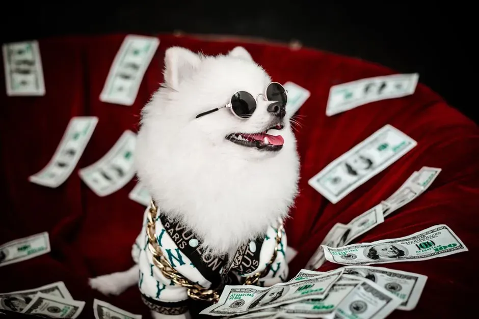 10. Reevaluate Your Dog Budget Every Year as Life (and Prices) Change (Image Credits: Pexels)