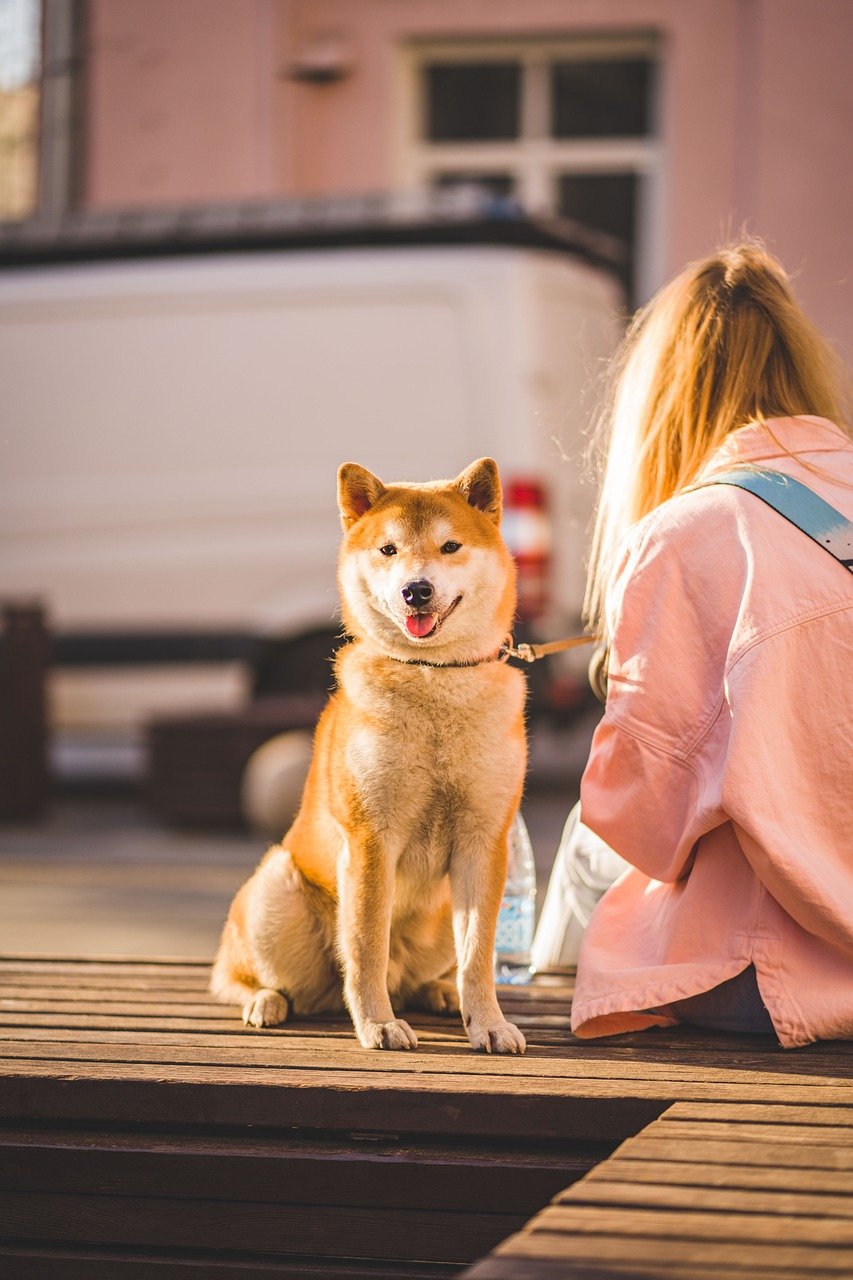 Conclusion (Image Credits: Pixabay)