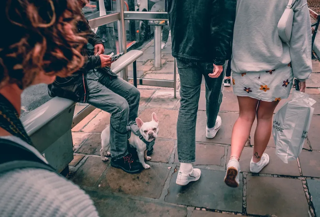 Why Getting in the Middle Feels Safer to Them (Image Credits: Unsplash)