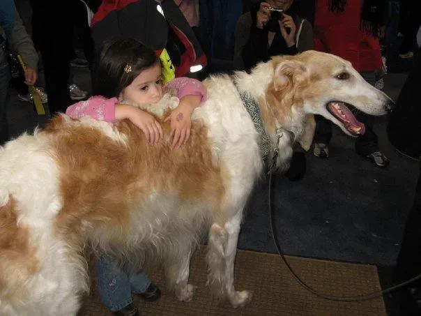 Conclusion: The Real Compatibility That Matters (Image Credits: Flickr)