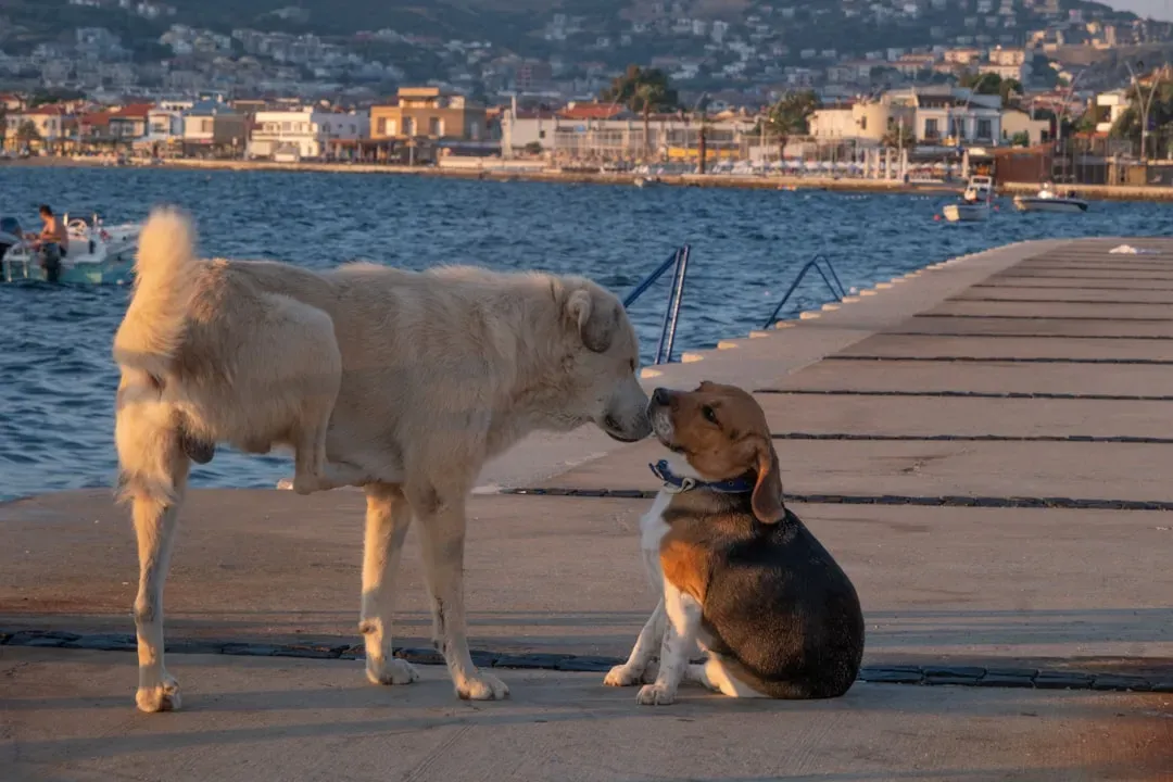 8. When They’re Meeting New People or Animals (Image Credits: Unsplash)
