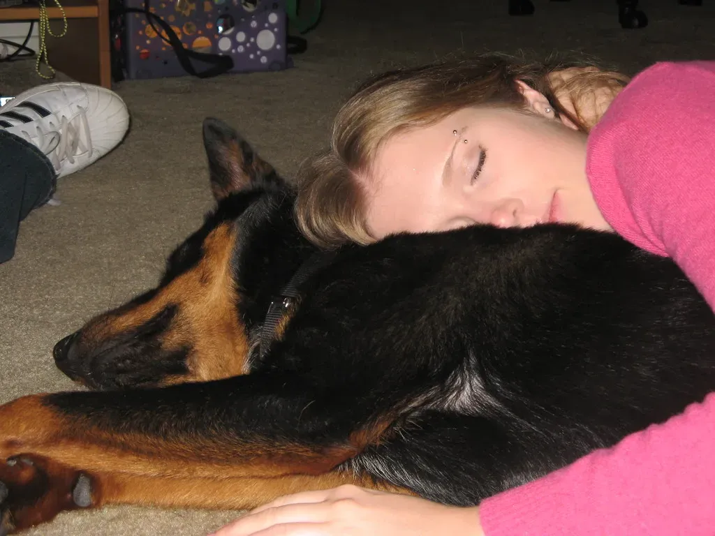 9. They Curl Up With Your Belongings When You're Away (Bludgeoner86, Flickr, CC BY 2.0)