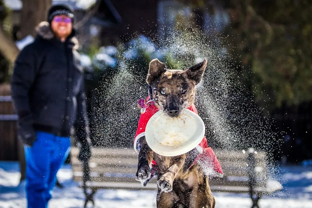Adjust Feeding and Hydration for Winter Conditions (Image Credits: Unsplash)
