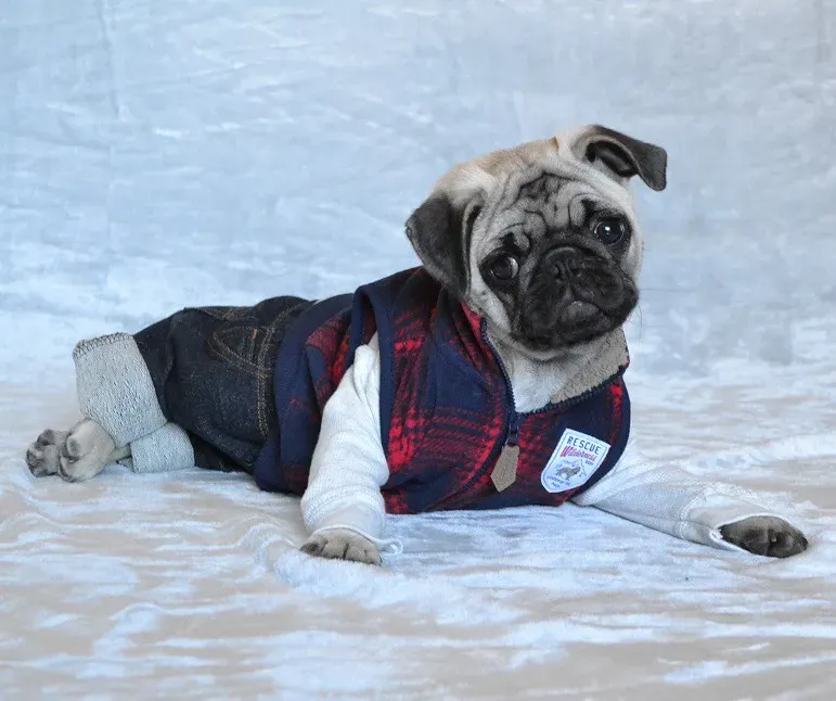 Conclusion: The Smallest Gesture, the Deepest Message (Image Credits: Flickr)