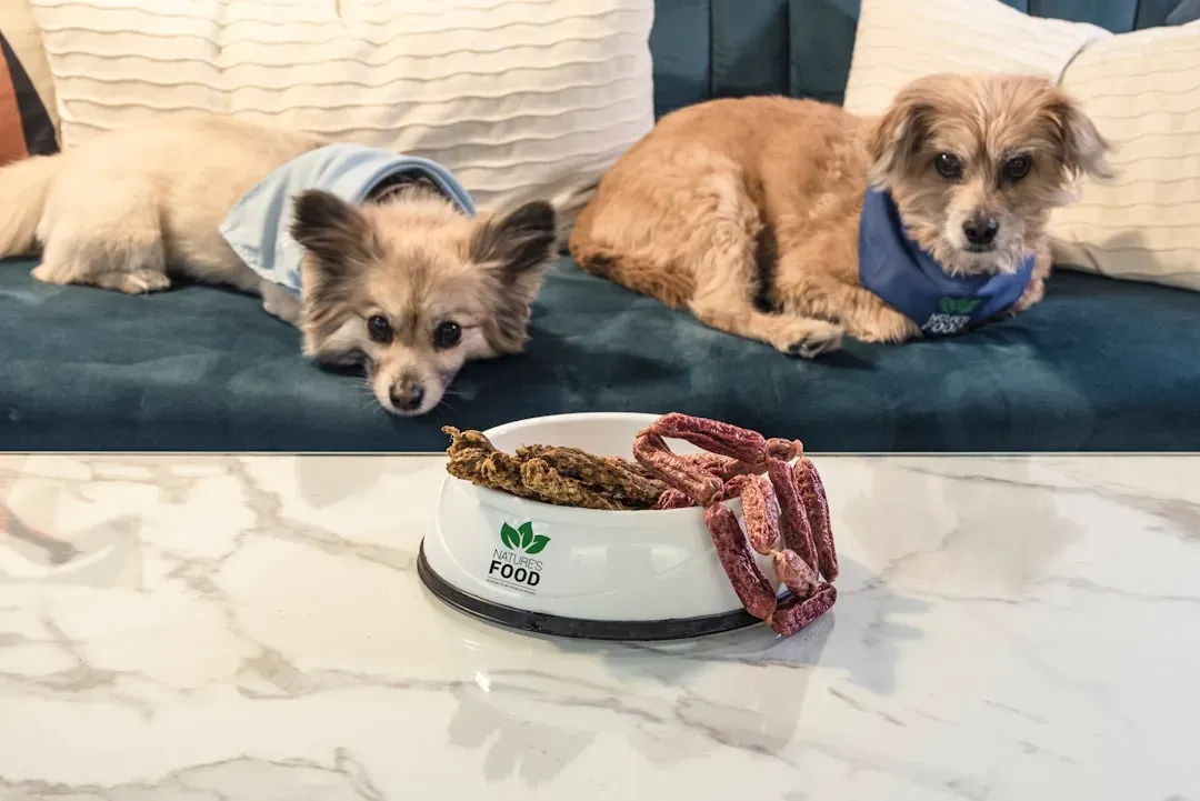 Conclusion (Image Credits: Unsplash)